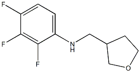 2,3,4-trifluoro-N-(oxolan-3-ylmethyl)aniline 结构式