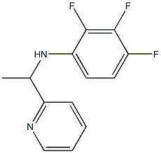 2,3,4-trifluoro-N-[1-(pyridin-2-yl)ethyl]aniline 结构式