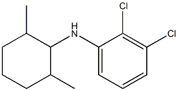 2,3-dichloro-N-(2,6-dimethylcyclohexyl)aniline 结构式