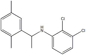2,3-dichloro-N-[1-(2,5-dimethylphenyl)ethyl]aniline 结构式