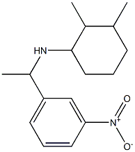 2,3-dimethyl-N-[1-(3-nitrophenyl)ethyl]cyclohexan-1-amine 结构式
