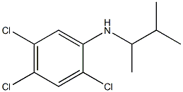 2,4,5-trichloro-N-(3-methylbutan-2-yl)aniline 结构式