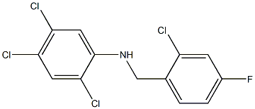 2,4,5-trichloro-N-[(2-chloro-4-fluorophenyl)methyl]aniline 结构式