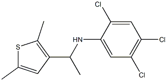 2,4,5-trichloro-N-[1-(2,5-dimethylthiophen-3-yl)ethyl]aniline 结构式