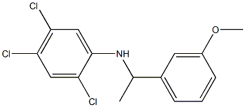 2,4,5-trichloro-N-[1-(3-methoxyphenyl)ethyl]aniline 结构式