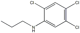 2,4,5-trichloro-N-propylaniline 结构式