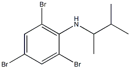 2,4,6-tribromo-N-(3-methylbutan-2-yl)aniline 结构式
