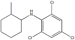 2,4,6-trichloro-N-(2-methylcyclohexyl)aniline 结构式