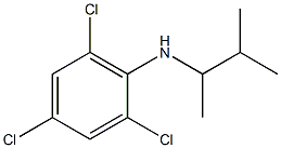 2,4,6-trichloro-N-(3-methylbutan-2-yl)aniline 结构式