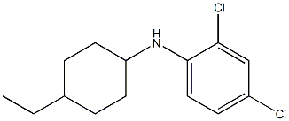 2,4-dichloro-N-(4-ethylcyclohexyl)aniline 结构式