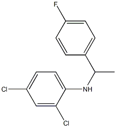2,4-dichloro-N-[1-(4-fluorophenyl)ethyl]aniline 结构式