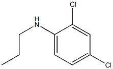 2,4-dichloro-N-propylaniline 结构式