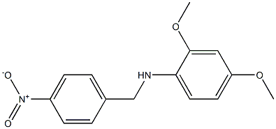 2,4-dimethoxy-N-[(4-nitrophenyl)methyl]aniline 结构式