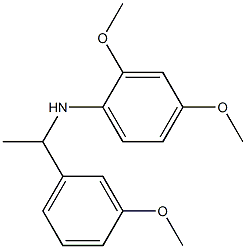2,4-dimethoxy-N-[1-(3-methoxyphenyl)ethyl]aniline 结构式