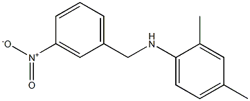 2,4-dimethyl-N-[(3-nitrophenyl)methyl]aniline 结构式