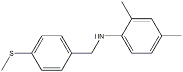 2,4-dimethyl-N-{[4-(methylsulfanyl)phenyl]methyl}aniline 结构式