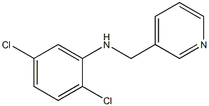 2,5-dichloro-N-(pyridin-3-ylmethyl)aniline 结构式