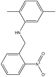 2,5-dimethyl-N-[(2-nitrophenyl)methyl]aniline 结构式