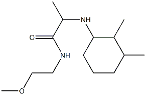 2-[(2,3-dimethylcyclohexyl)amino]-N-(2-methoxyethyl)propanamide 结构式