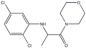 2-[(2,5-dichlorophenyl)amino]-1-(morpholin-4-yl)propan-1-one 结构式