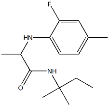 2-[(2-fluoro-4-methylphenyl)amino]-N-(2-methylbutan-2-yl)propanamide 结构式