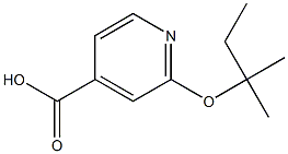 2-[(2-methylbutan-2-yl)oxy]pyridine-4-carboxylic acid 结构式