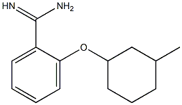 2-[(3-methylcyclohexyl)oxy]benzene-1-carboximidamide 结构式