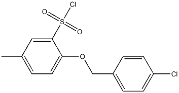 2-[(4-chlorophenyl)methoxy]-5-methylbenzene-1-sulfonyl chloride 结构式