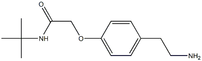 2-[4-(2-aminoethyl)phenoxy]-N-(tert-butyl)acetamide 结构式