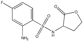 2-amino-4-fluoro-N-(2-oxooxolan-3-yl)benzene-1-sulfonamide 结构式