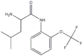 2-amino-4-methyl-N-[2-(trifluoromethoxy)phenyl]pentanamide 结构式