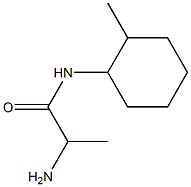 2-amino-N-(2-methylcyclohexyl)propanamide 结构式