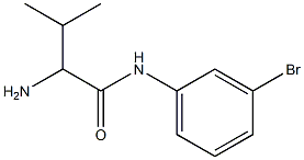 2-amino-N-(3-bromophenyl)-3-methylbutanamide 结构式