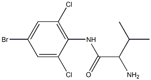 2-amino-N-(4-bromo-2,6-dichlorophenyl)-3-methylbutanamide 结构式