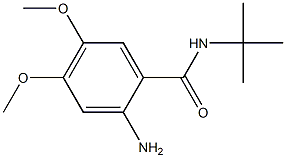 2-amino-N-(tert-butyl)-4,5-dimethoxybenzamide 结构式