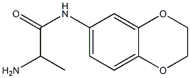 2-amino-N-2,3-dihydro-1,4-benzodioxin-6-ylpropanamide 结构式