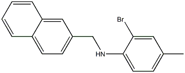 2-bromo-4-methyl-N-(naphthalen-2-ylmethyl)aniline 结构式