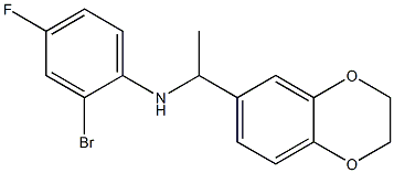 2-bromo-N-[1-(2,3-dihydro-1,4-benzodioxin-6-yl)ethyl]-4-fluoroaniline 结构式