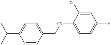 2-chloro-4-fluoro-N-{[4-(propan-2-yl)phenyl]methyl}aniline 结构式