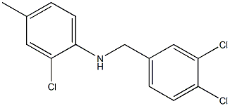 2-chloro-N-[(3,4-dichlorophenyl)methyl]-4-methylaniline 结构式