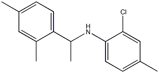 2-chloro-N-[1-(2,4-dimethylphenyl)ethyl]-4-methylaniline 结构式