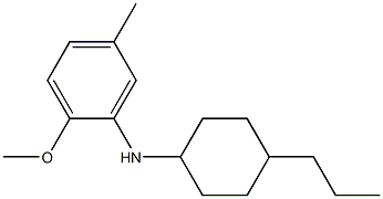 2-methoxy-5-methyl-N-(4-propylcyclohexyl)aniline 结构式