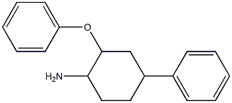 2-phenoxy-4-phenylcyclohexan-1-amine 结构式