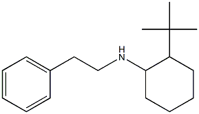2-tert-butyl-N-(2-phenylethyl)cyclohexan-1-amine 结构式