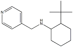 2-tert-butyl-N-(pyridin-4-ylmethyl)cyclohexan-1-amine 结构式