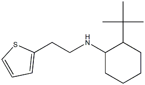 2-tert-butyl-N-[2-(thiophen-2-yl)ethyl]cyclohexan-1-amine 结构式