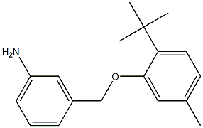 3-(2-tert-butyl-5-methylphenoxymethyl)aniline 结构式
