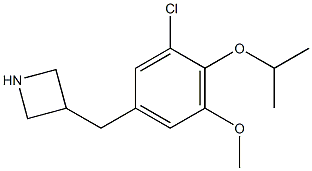 3-(3-chloro-4-isopropoxy-5-methoxybenzyl)azetidine 结构式