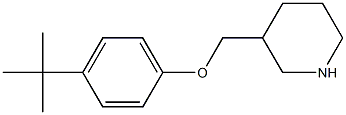 3-(4-tert-butylphenoxymethyl)piperidine 结构式