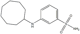 3-(cyclooctylamino)benzene-1-sulfonamide 结构式
